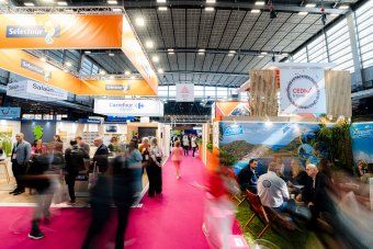 Les exposants