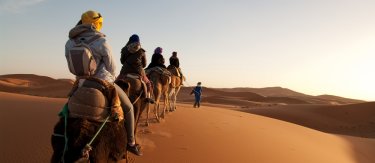 infographie tourisme et handicap