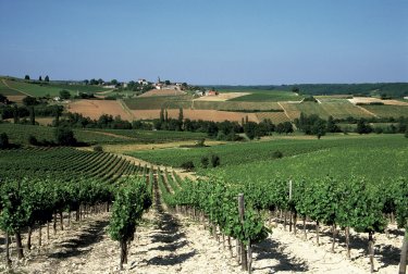 Gaillac- Tarn